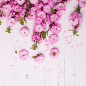 Meet your Posher, Layan